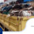 Jasa-Buang-Puing-dan-Sampah-Jakarta-Blog-3